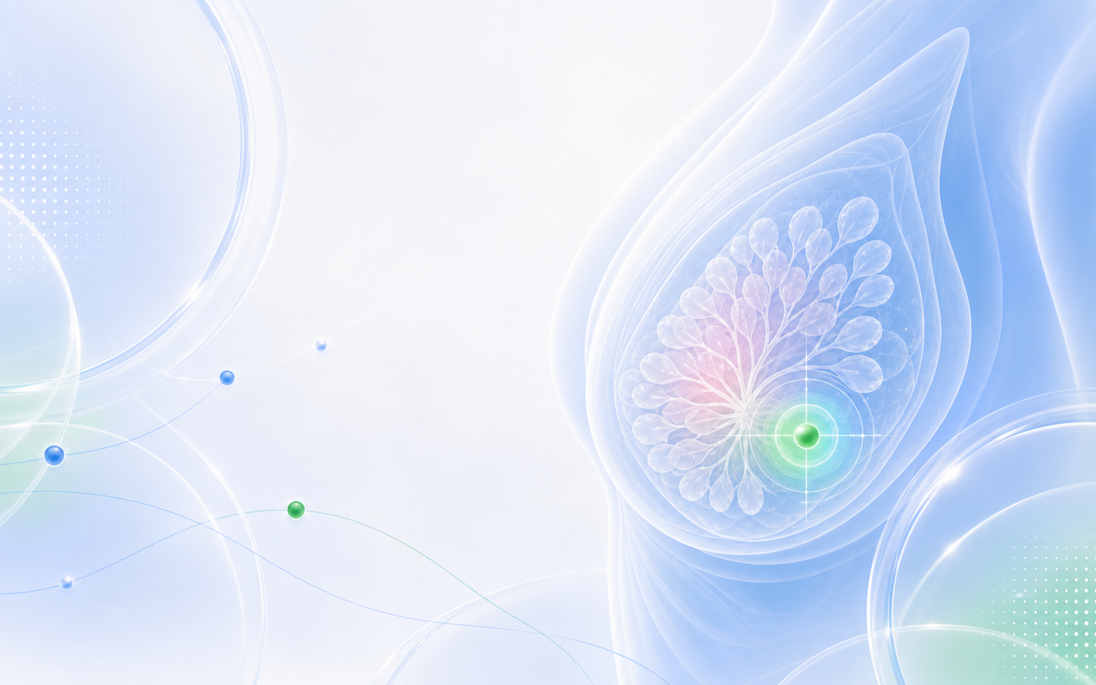 Respectful medical illustration representing breast assessment